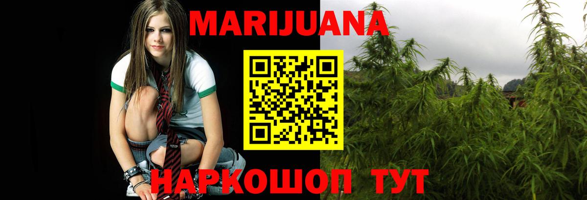 Бошки Шишки ГИДРОПОН Курчалой
